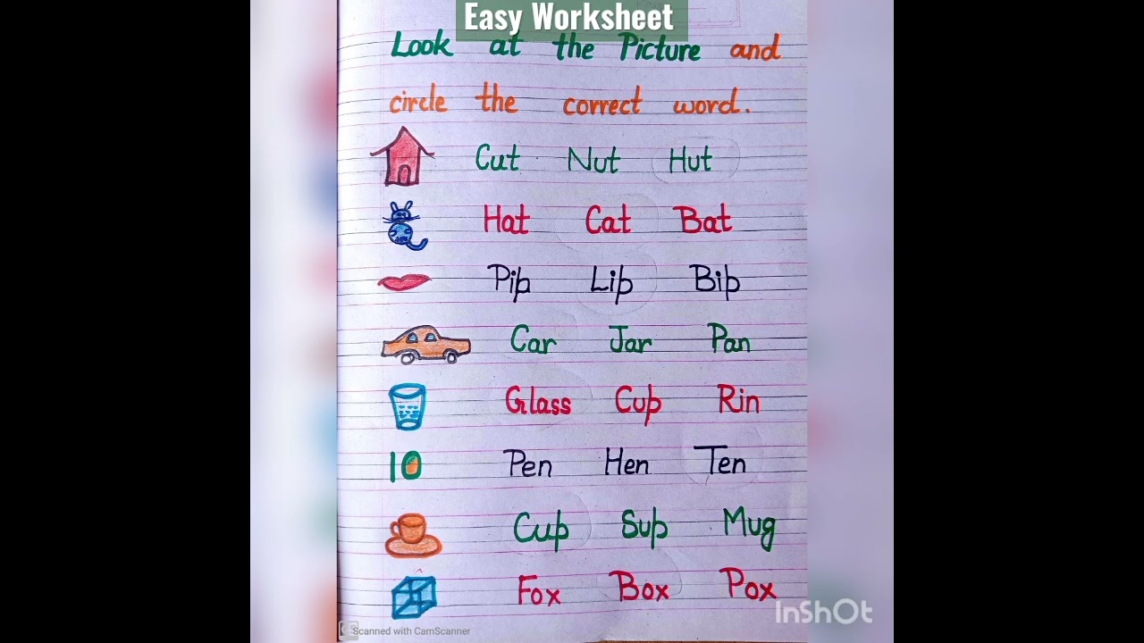 Easy English Worksheet For Primary Level Kids 🤗🧑‍🏫