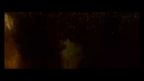 A Swarm of the Sun "I Fear the End" - Official promotional video