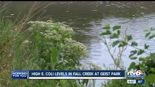 High E.coli levels reported in Fall Creek at Geist Park