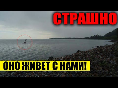 СРОЧНО!!! ПОД ВОДОЙ НАЙДЕНА НОВАЯ ФОРМА ЖИЗНИ!!! 12.07.2021 ДОКУМЕНТАЛЬНЫЙ ФИЛЬМ HD