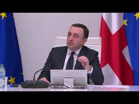 „ღარიბაშვილი პუტინის ნარატივს განაგრძობს“ - პრემიერ-მინისტრის ხმაურიანი განცხადებები