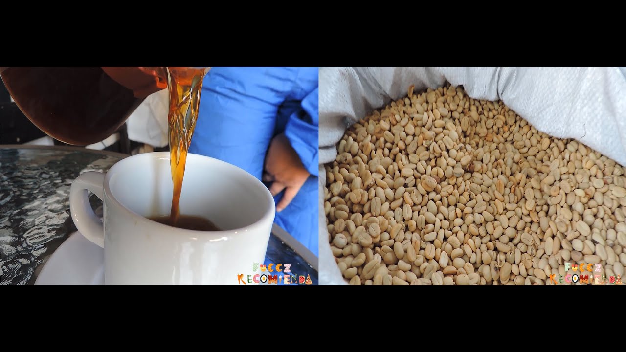 PROCESO DE PRODUCCIÓN DEL CAFÉ COLOMBIANO - DEL GRANO SECO A LA TAZA