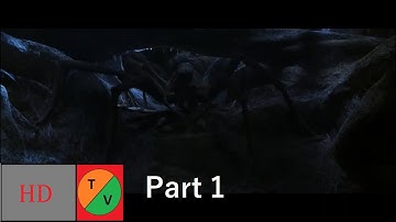 Aragog- Part 1 - Harry Potter and the Chamber of Secrets