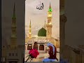 Vo mera nabi hai #allah #nabi #trending #shorts💞❤