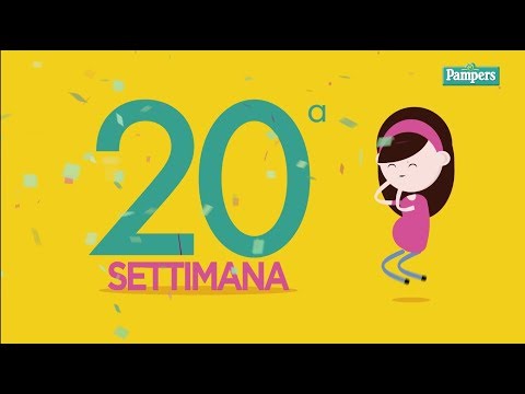 20° settimana di gravidanza