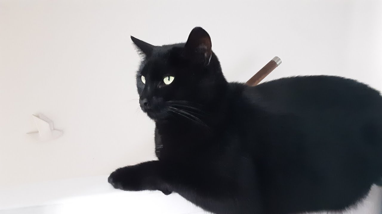 My channel name reveal (how I came up with it) and random toddler things even though I'm not