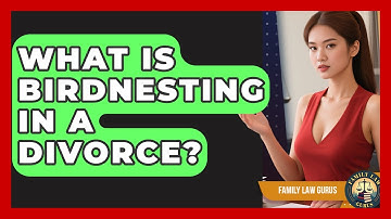 What Is Birdnesting in a Divorce? | Family Law Gurus News