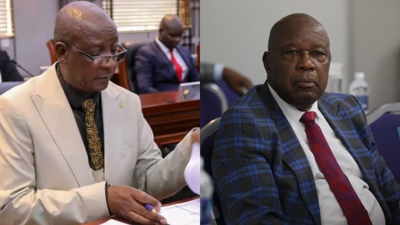 ZIYAMBI AND MUTSVANGWA CLASH ON REFERENDUM ON CONSTITUTIONAL AMENDMENT