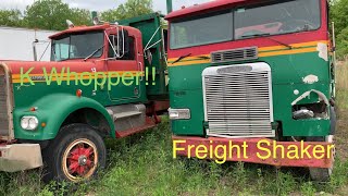 1984 Freightliner Cabover in the weeds!!