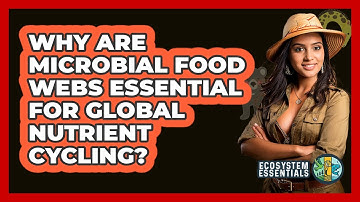 Why Are Microbial Food Webs Essential For Global Nutrient Cycling? - Ecosystem Essentials