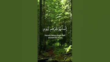 سورة ابراهيم القارئ احمد عباس البلوشي