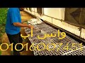 كورونا خليك في بيتك مشتل الطماطم من الألف الى الياء شرح زراعة الطماطم