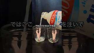 赤べー黒べーガムにカルピスを注いでみた #shorts #おもしろ動画 #funnyvideo #やってみた