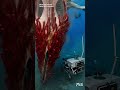 Robotics #14 | Whale Fall Tracker (Deep-Sea Ecosystem) | Deep Sea & High Pressure