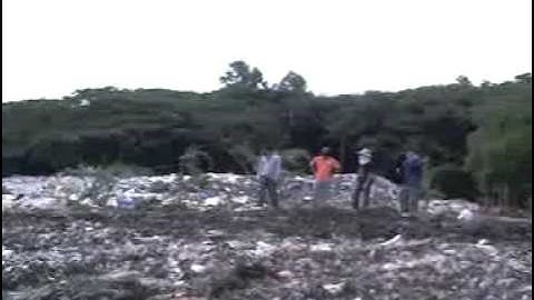 Bulldozer Operation 3rd Batch 2