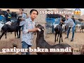 Saste bakro ki sale gazipur bakra mandi  15000 se shuru    saste bakre