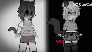 Two Birds On A Wire... Snobell Tchichala Era Pra Ter Saído Como Shorts