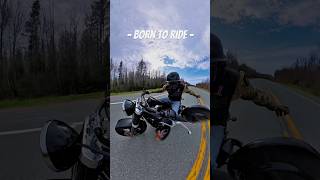 Born to Ride🔥#harleydavidson #motovlog #motorcycle #harleylife #biker