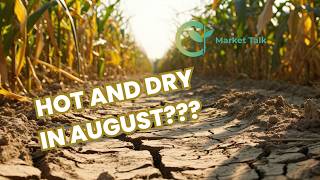 Will the Weather Pattern Change in August?
