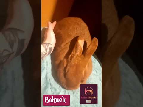 ผลสลากกินแบ่งรัฐบาล วันที่ 1 พย. 2567