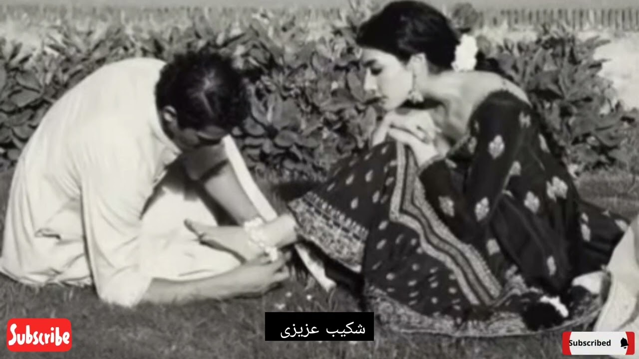 من آمد به منم بمرم دلبر یک دانه🤪آهنگ جدید شکیب عزیزی #دمبوره پنجه طلایی تغه شیخعلی  #2026