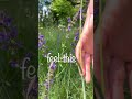 Feel grounded through touch 🌿 #YogaNidra