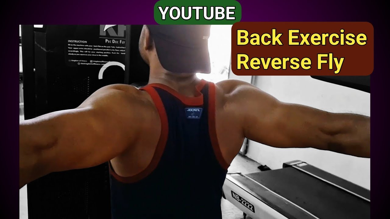 Upper Back || Reverse Fly 💪Vlog - YouTube
