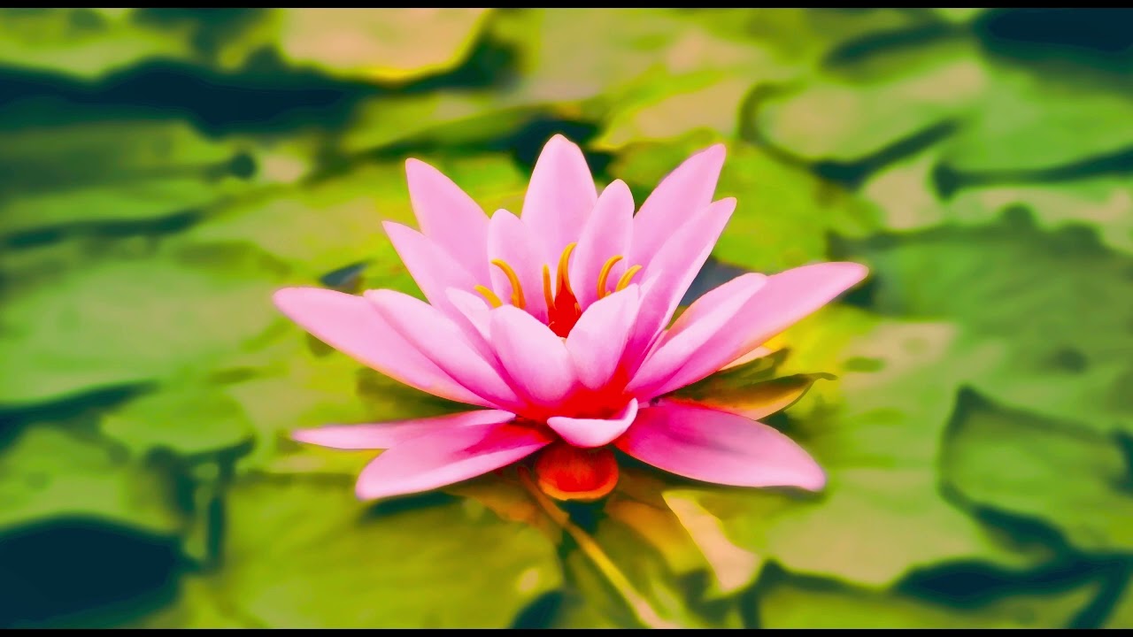 REFLEXOLOGY MUSIC FOR PRACTITIONERS, relax clients, ultimate relaxation, reiki, meditation, massage