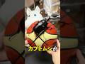 カブトムシVSバスケットボール