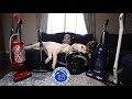 Rocky mountain sewing and vacuum has the perfect pet vacuum for your needs