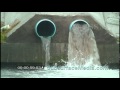 Stock Footage;  Drain pipes or culverts #1