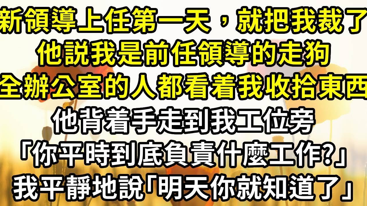 新領導上任第一天，就把我裁了，他説我是前任領導的走狗。全辦公室的人都看着我收拾東西，他背着手走到我工位旁｢你平時到底負責什麼工作?｣，我平靜地說｢明天你就知道了｣