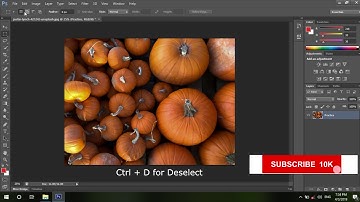 Adobe Photoshop for Beginners - class 4 Rectangular Marquee in Pashto Afridi