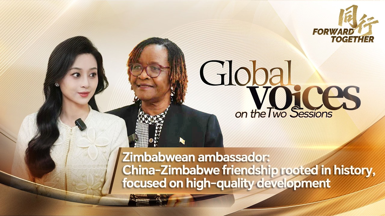 China-Zimbabwe friendship rooted in history, focused on high-quality development