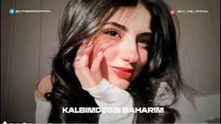 DJ TAB & AZZEEZ - Kalbimdesin Baharim (Mashup Mix)