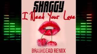 Shaggy Feat. Mohombi & Faydee Costi - I Need Your Love (BrainDeaD Remix)