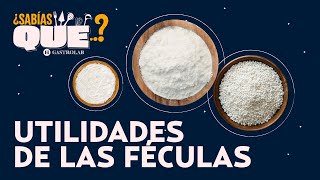 Cornstarch, tapioca, and potato starch: how to use them in cooking | Did you know? Que Es Fecula