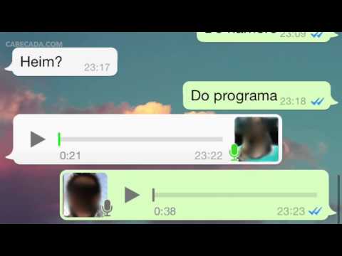 ANUS INFANTIL - Conversa de Whatsapp com Acompanhante