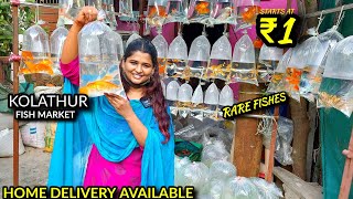 ₹1 ரூபாய் முதல்..!!!! Kolathur ALL DAY Fish Market Vlog