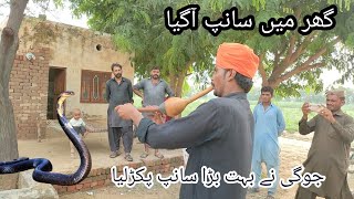 Azhar Jogi Catching A Big Sanke At Village Home New Video King Cobra Tv Naag Jogi