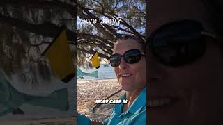 Beach Picnic & Bikini Knobbys Beauties