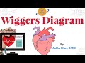 Wiggers diagram  cardiac cycle  cardiology  physiology simplified for usmle comlex mccqe  nclex
