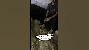 نقل الرصد الذهب في لمح البصر شاهد 