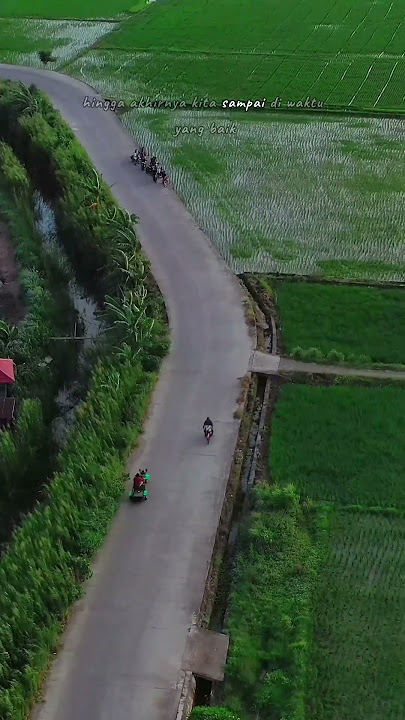 Petani #petani #sawah
