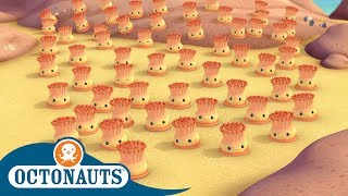 #StayHome Octonauts  The Enemy Anemone | Full Episodes | Cartoons for Kids