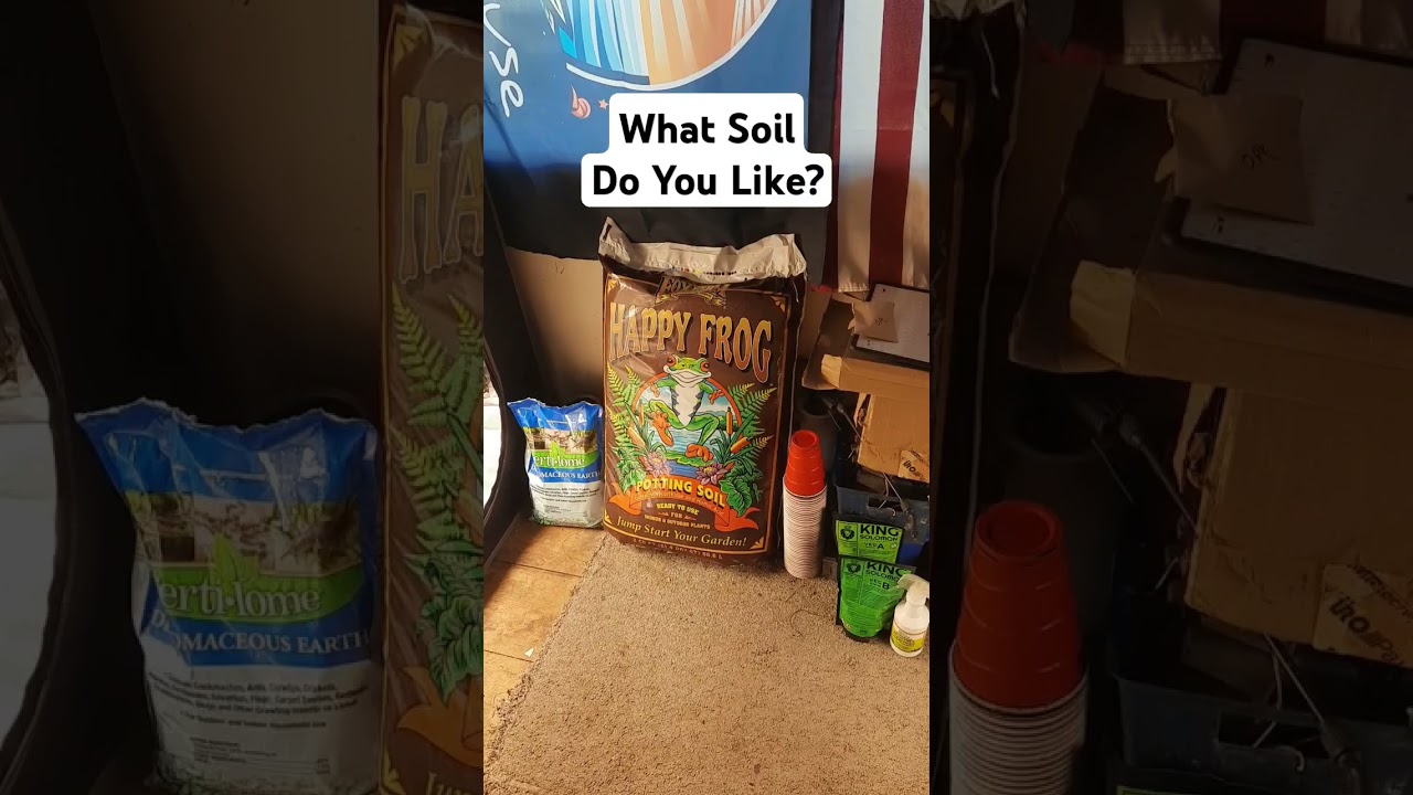 Happy frog soil this is what I use for my Seedlings