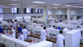 Timelapse of an Organic Chemistry laboratory session