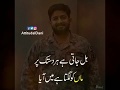 Kabhi Parcham Main lipte Hain || 14 August||6 september Defence Day|| Whatsapp video with lyrics