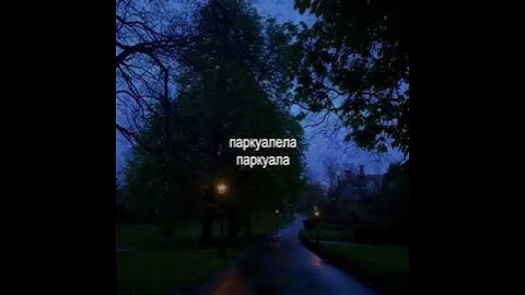lyrics: Ты как Тралалела тралала [Машера & Юпи] #машера #песня #лурикс #рек