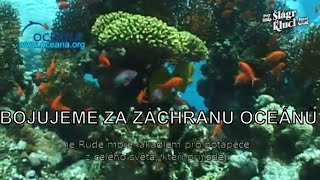 Šlágr kluci bojují společně s Martinem Štěpánkem za záchranu oceánů